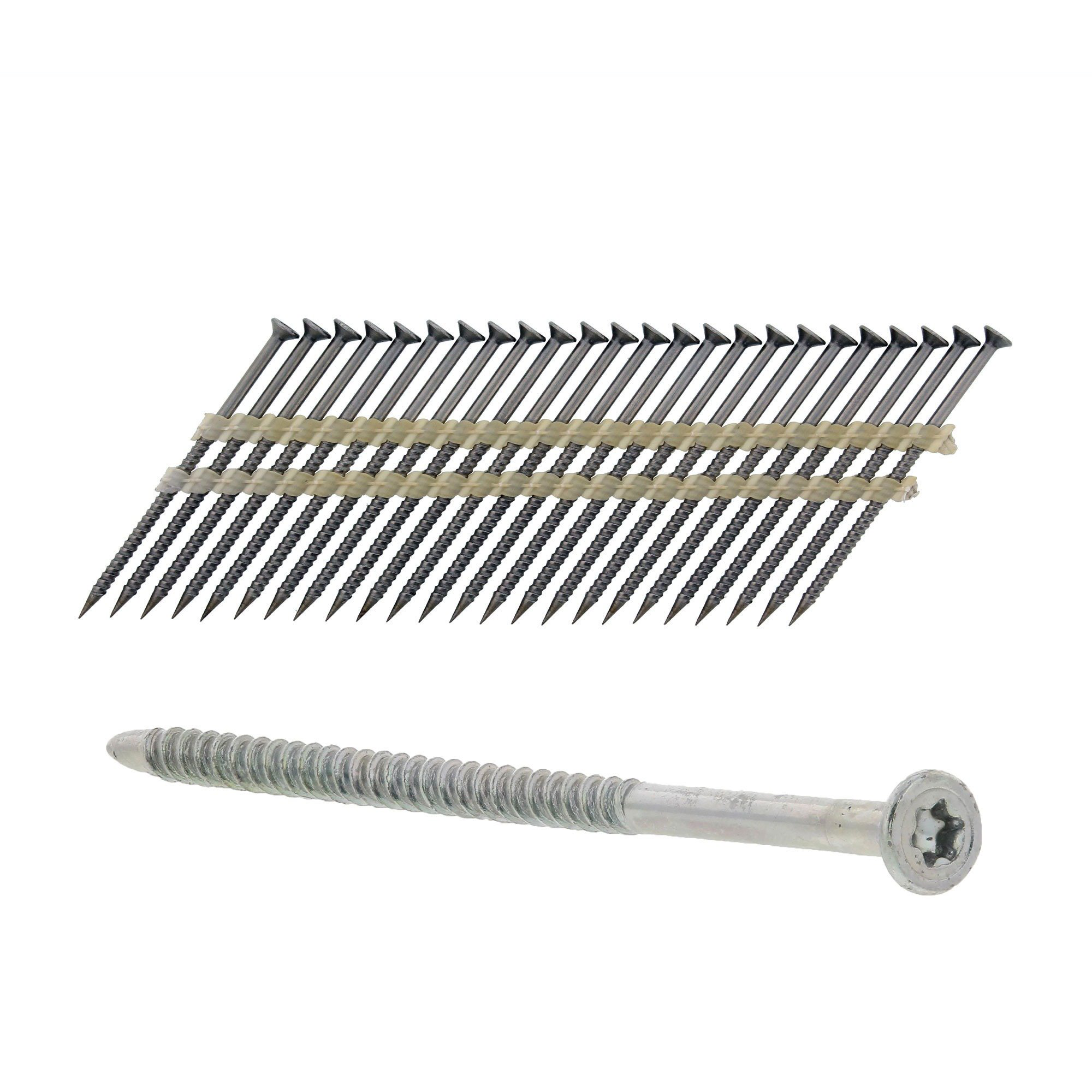 Stainless Steel Ss Nails 2 Inch, Packaging Type: Box at Rs 10/piece in  Chennai