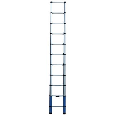 Werner 87032 Telescopic Extension Ladder (4818510676022)